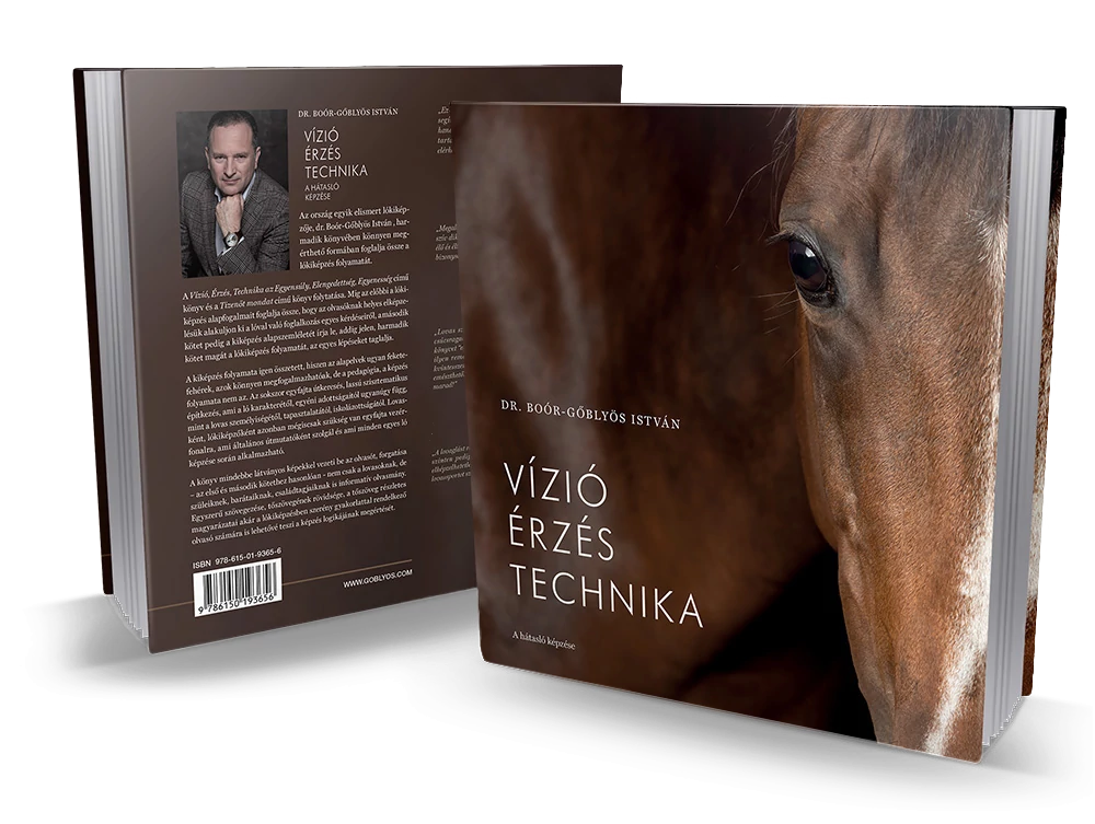 Vizio Erzes Technika