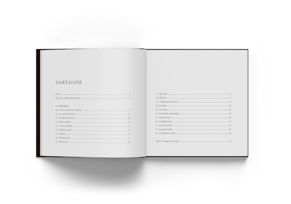 VÍZIÓ ÉRZÉS TECHNIKA