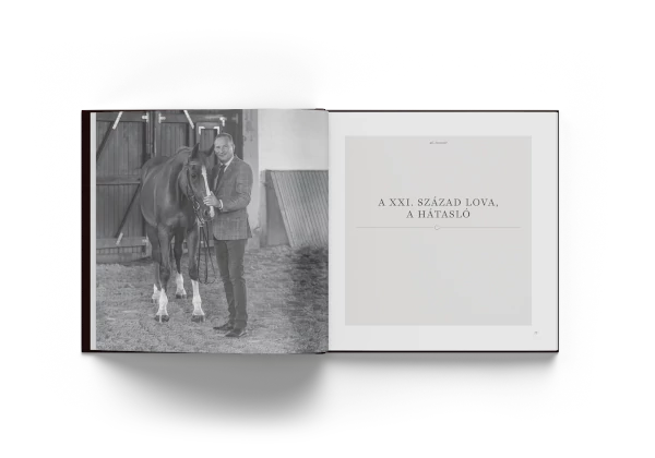 VÍZIÓ ÉRZÉS TECHNIKA