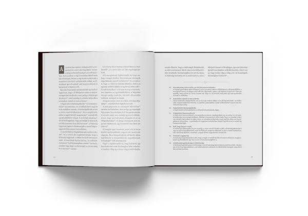 VÍZIÓ ÉRZÉS TECHNIKA