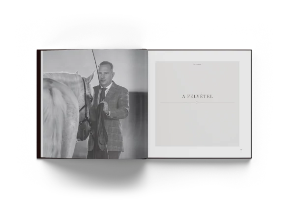 VÍZIÓ ÉRZÉS TECHNIKA