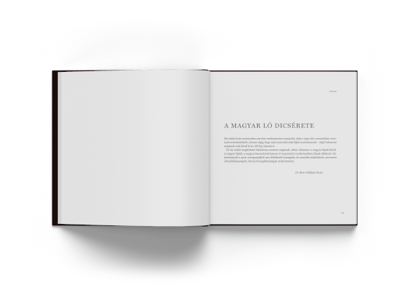 VÍZIÓ ÉRZÉS TECHNIKA